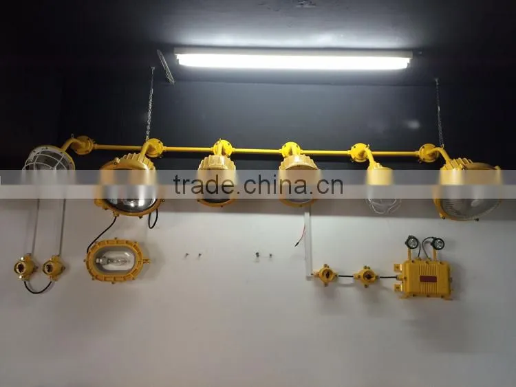Ex-proof certificate LED Floodlight 100W