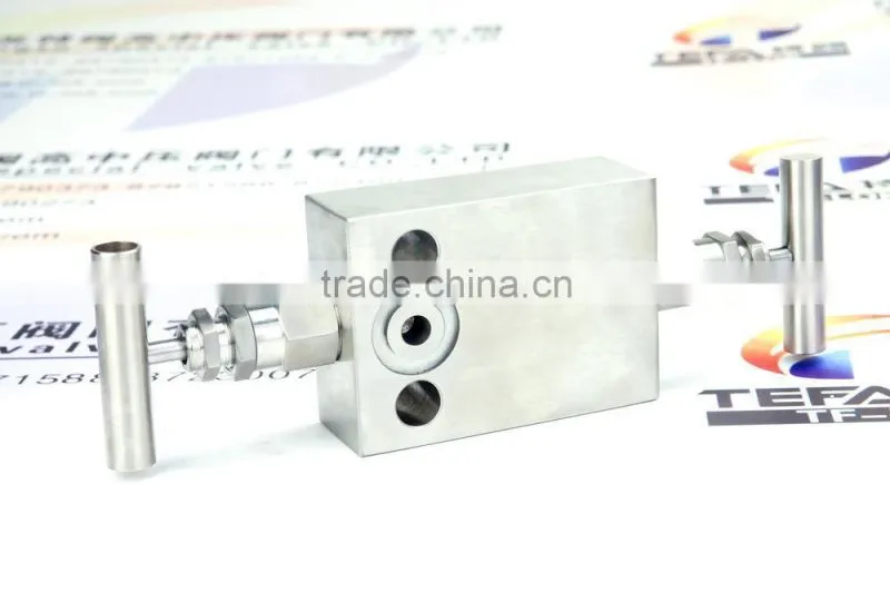 two way manifold valve