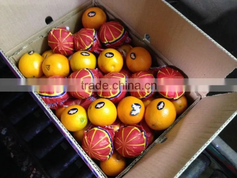 Avilable MOQ of Oranges and Lemons @ Forwell