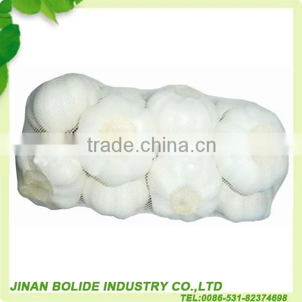 chinese natural garlic supplier