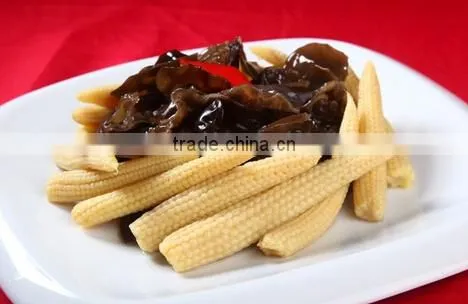 Top grade Organic Canned sweet baby corn