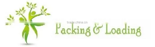 High grade leonardite potassium fulvate, potassium humate with fulvic acid shiny powder