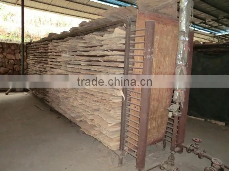 CHEAP NATURAL EUCALYPTUS CORE VENEER FOR KOREA MARKET