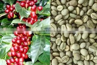 GREEN FAIR TRADE & PRODUCTION COMPANY LIMITED company overview - view 1