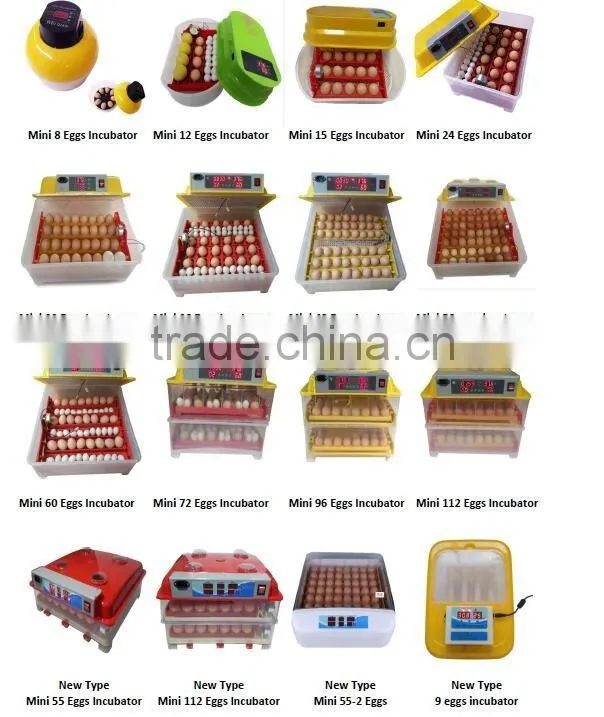 Animal & Poultry Husbandry Equipment quail cage design with water system