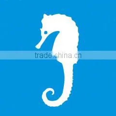 Qingdao Sea-Salt Aquarium Technology Co., Ltd. company overview - view 1