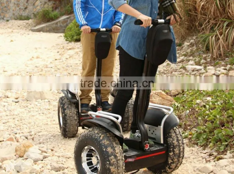 Electric Sport Scooter