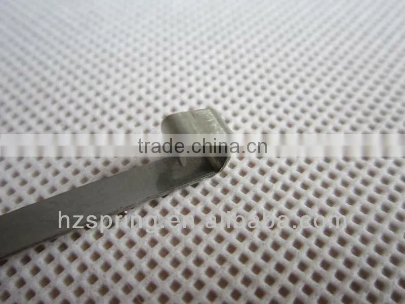 Flat Spring
