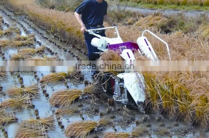 Gasoline wheat reaper binder