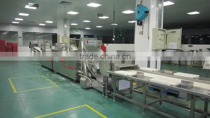 TW-307L automatical leafy vegetable washer (Video)