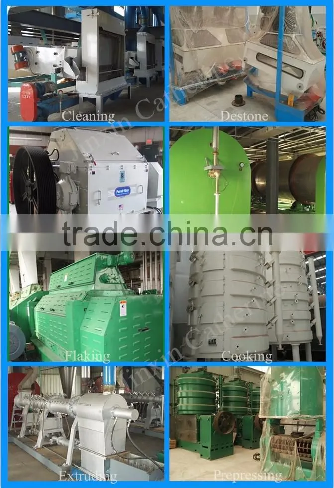 50T/D peanut automatic oil mill machinery
