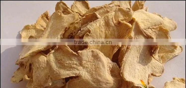 vegetable dryer machine /fruit dryer machine