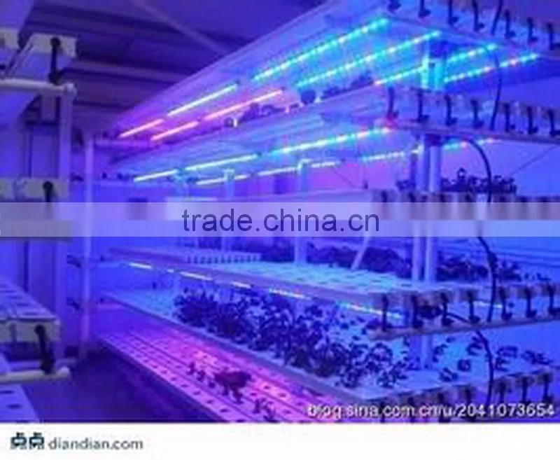 high umol led grow light waterproof 150w 3m, tomato growling lamp vanq