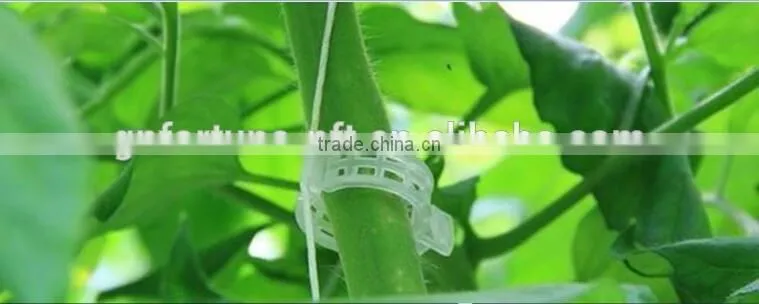 Agricultural Clip Tomato Clip 25mm