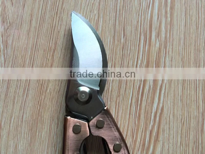 high-carbon steel scissorsr/prune saw