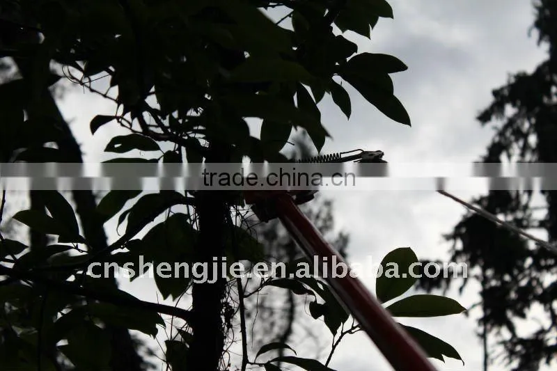 garden shear