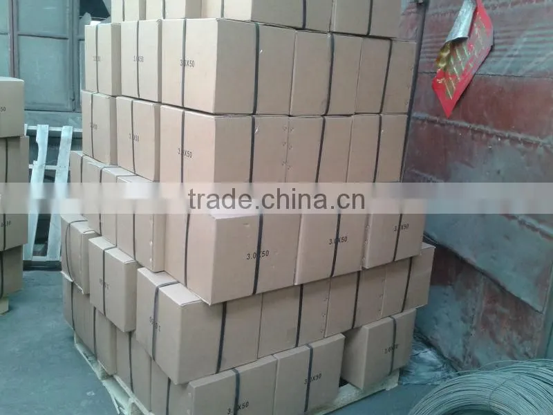 Plain and twist shank concrete nails(factory)