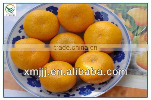 mandarine orange