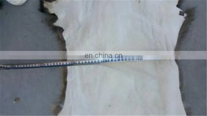 High quality genuine Raccoon fur skin for coat /garment