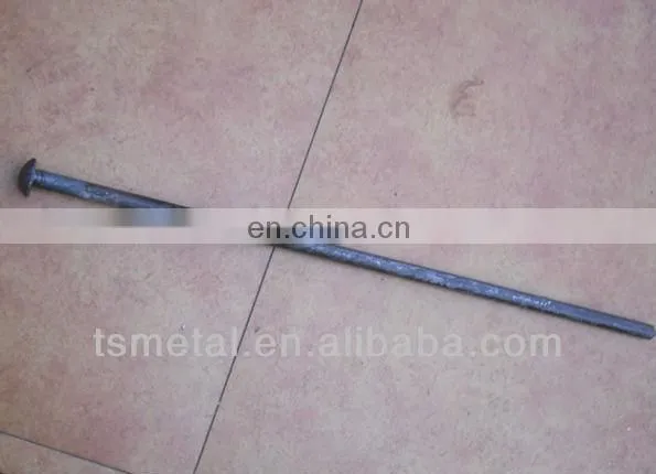 manufacturer galvanized rebar steel spike