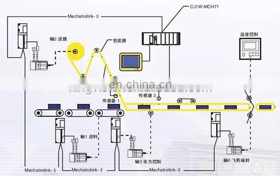 automatic Cheddar Cheese Slice Packing Machine Manufacturer designed