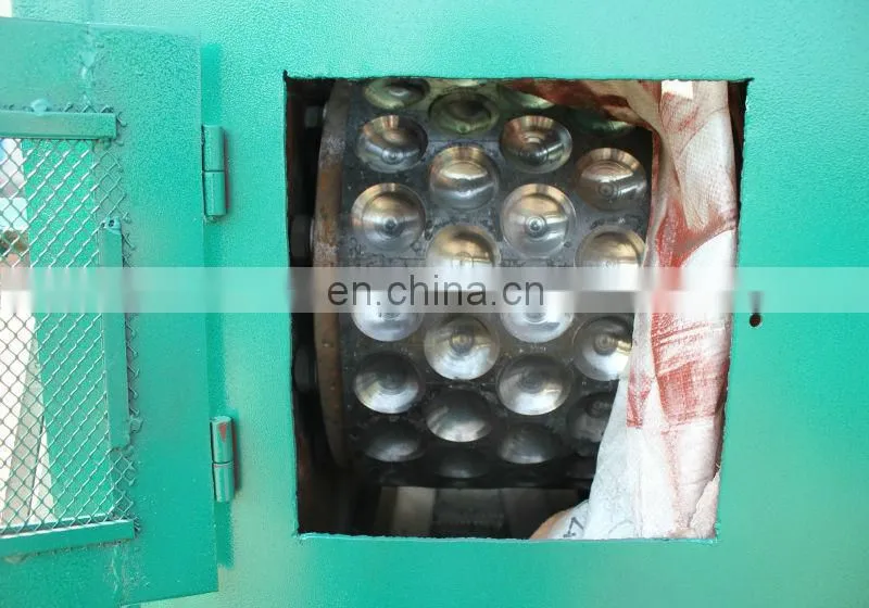 Briquette Making Machine Widely Used For Tailings, Sludge, Kaolin, Mill Scale