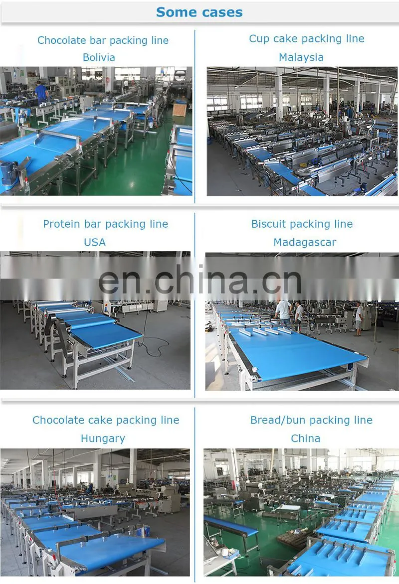 Ruipuhua High Quality Pie Crust/ Pancake/ Tortialla/ Pita Automatic Packing Packaging Flow Wrapping Machine