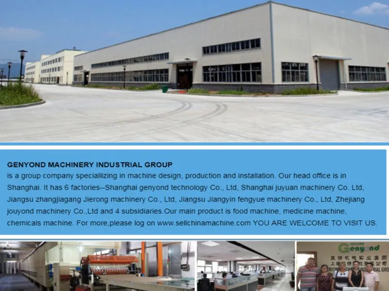 STRAWBERRY Quick Freezing Processing Line Machine