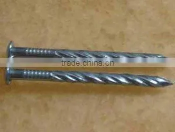 galvanized twisted shank nails factory