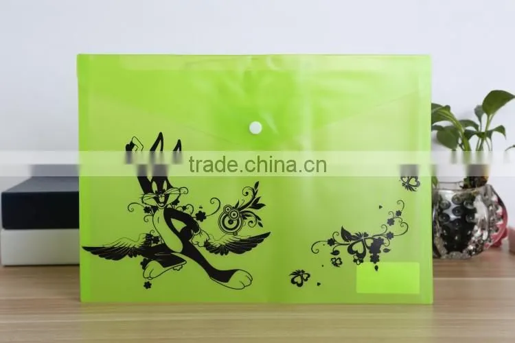 Transparent Document bag type and pp button wallet file