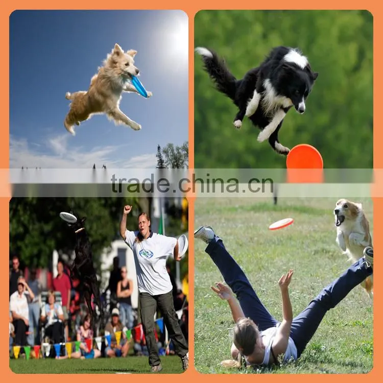 new products 2015 novelty alibaba china factory wholesale dog frisbee toy large dog toys