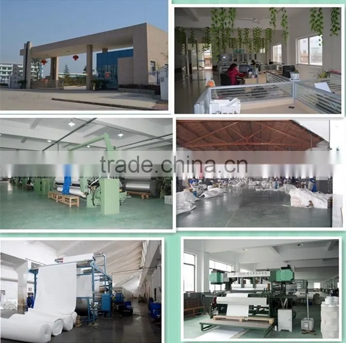 polyester spiral dryer screen