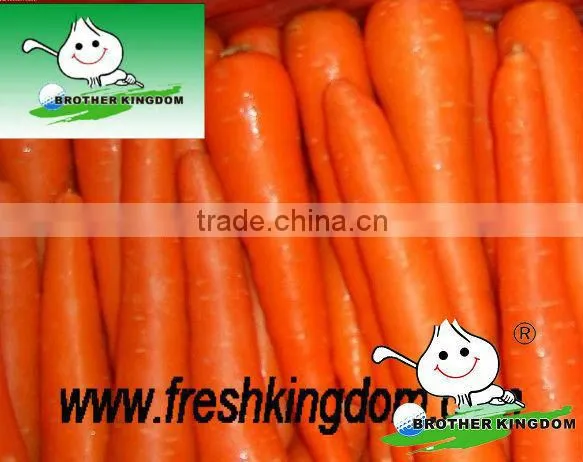 Fresh carrot in Fresh Carrots,Organic Carrots