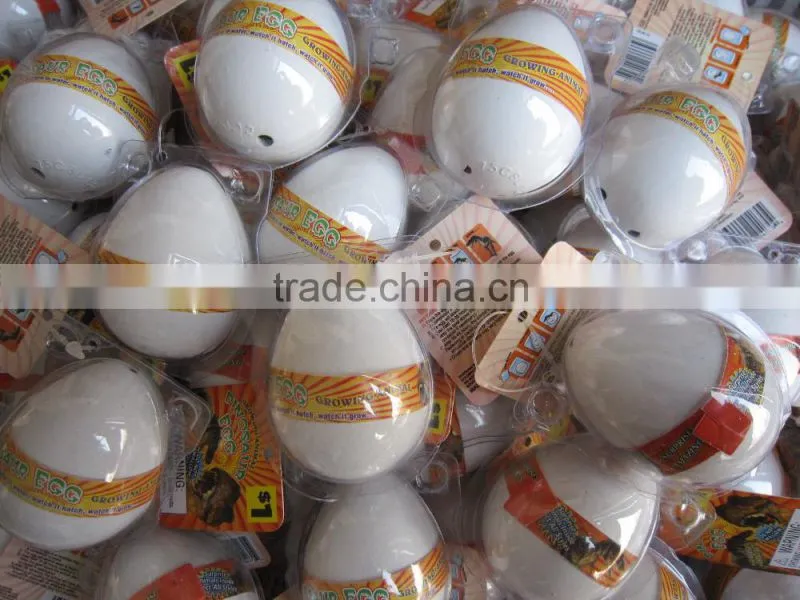 Growing hatching dinosaur egg toy