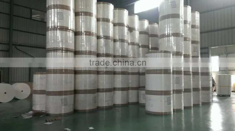 PE coated paper for cups in hot sell/ paper cup making machine