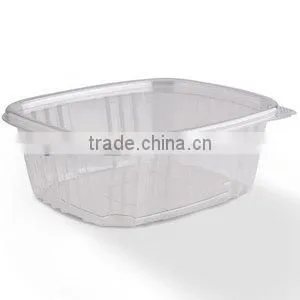 Disposable food box Food container
