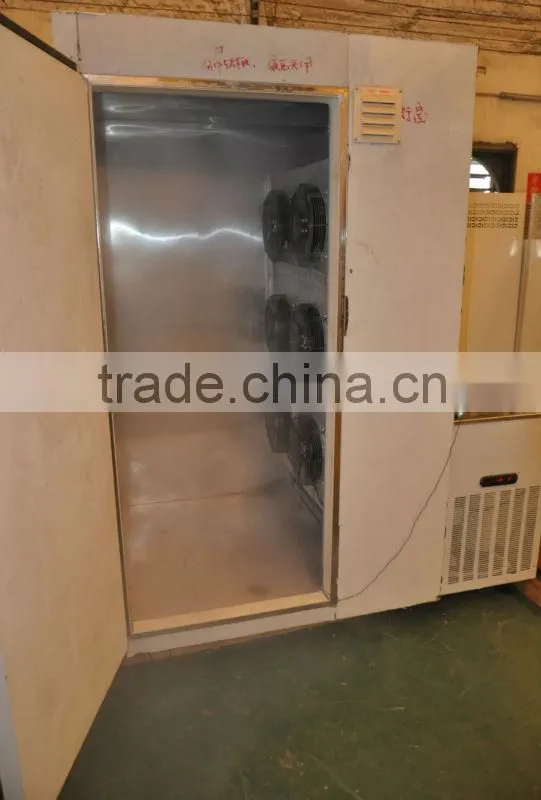 Individual quick freezer for instant freezing dumpling and dim sum