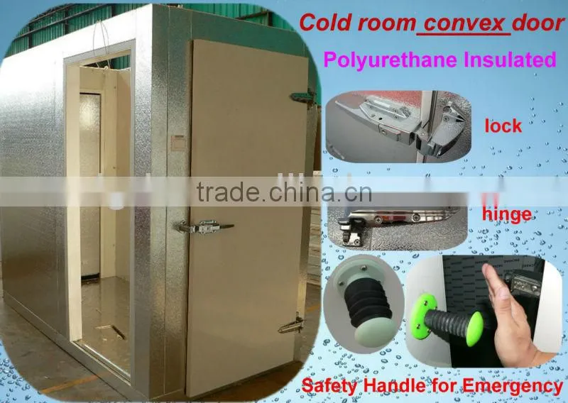 Model DCWF-10 Modular & standard cold room