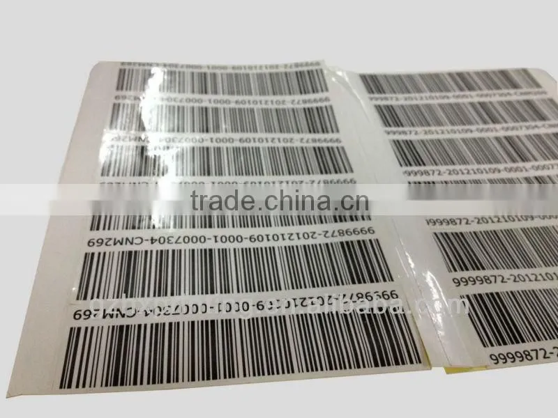 Sticker cutting and printing from guangzhou wholesale