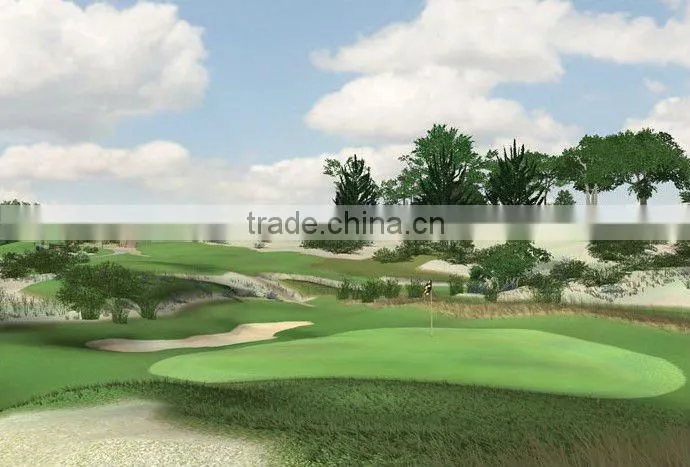 golf simulator