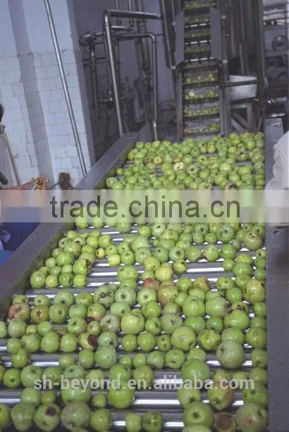 complete pear fruit juice processing line