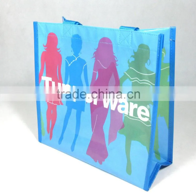 BSCI audit factory eco bag supplier/non woven bags printing/non woven bag