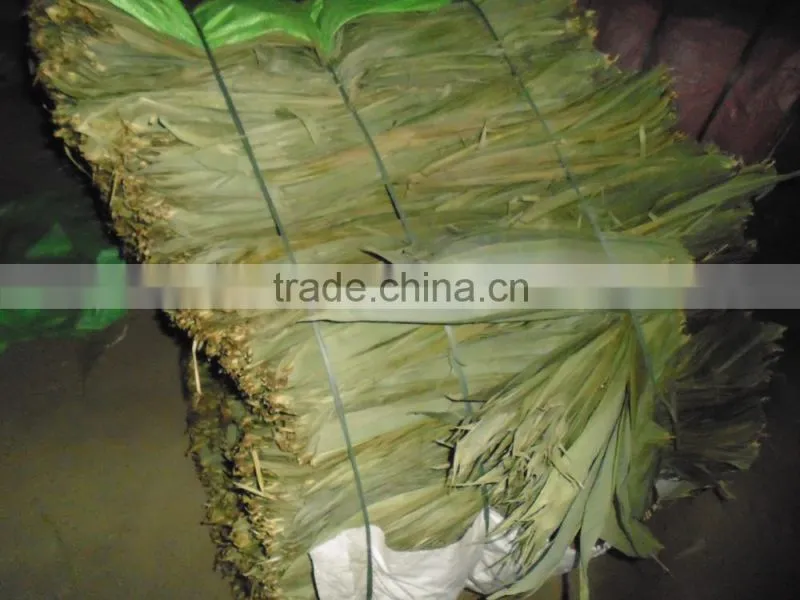Bamboo leaf japan market; Bamboo leaves