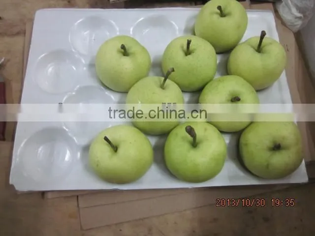 Chinese Gold pear,round pear