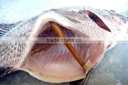 2016 New stock whole frozen fresh seafood priceGutted tilapia on sale