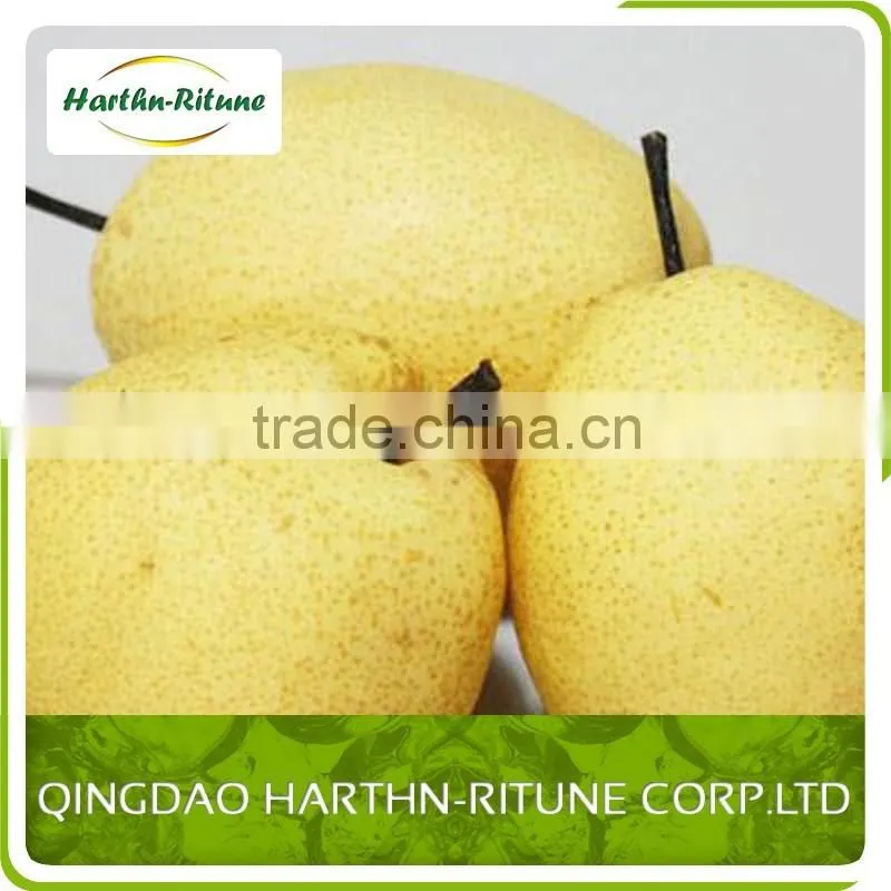 Fresh Pears