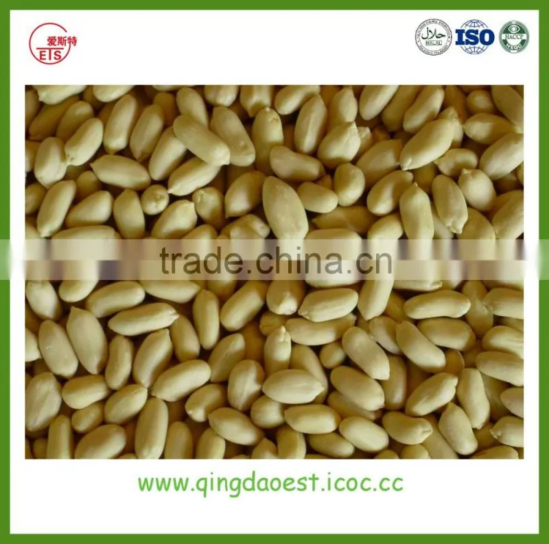 new stock blanched peanut kernels ready for export