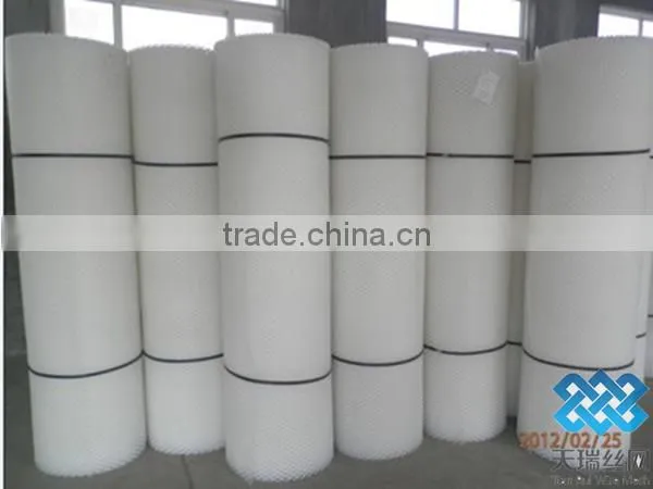 plastic plain net /plastic flat net
