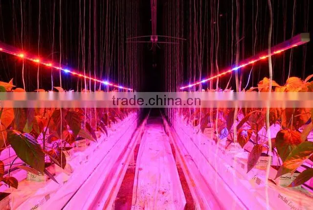 2016 MarsHydro led light bar Reflector LED Ligh Bar Full Spectrum LED Plant Grow Light Bar 23W 46W 92W
