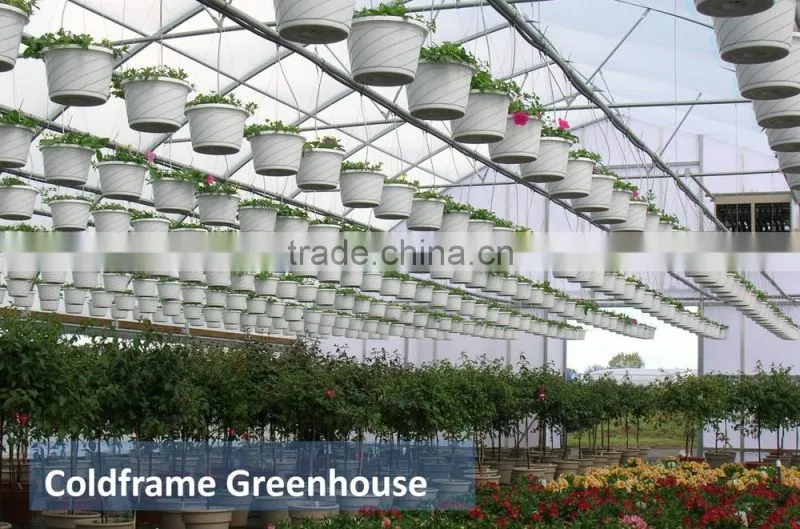 RoughBrothers Galvanized Steel Frame Agricultural Tunnel Greenhouse